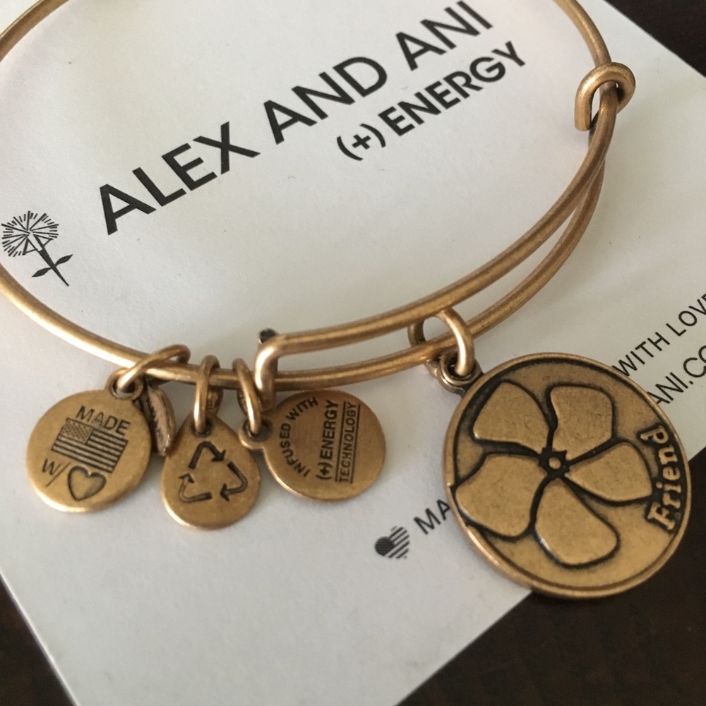 Alex And Ani +Energy Friend Bracelet